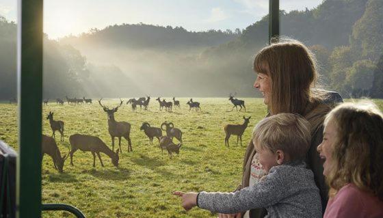 Hotel Au Lit Des Ours Han-sur-Lesse Luaran gambar